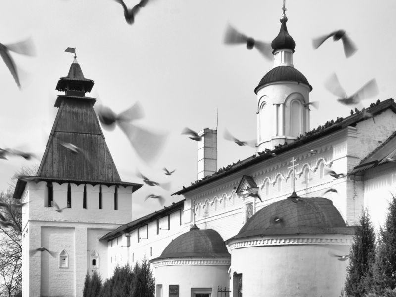 Black and white, Monochrome, Kaluga, Borovsk, Landscape April birds фото превью