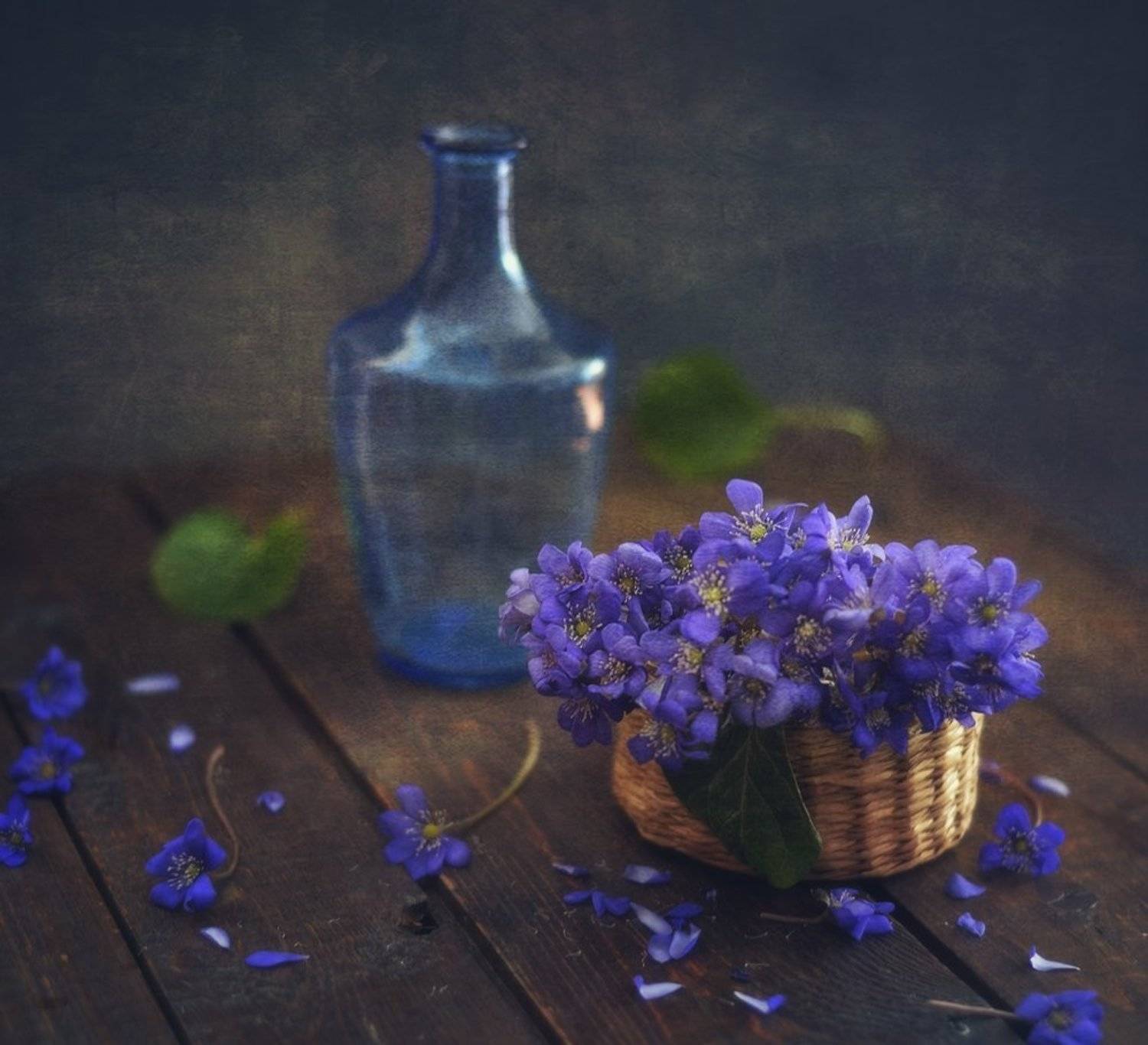 натюрморт,цветы,весна,печеночница,первоцвет, Наталия К