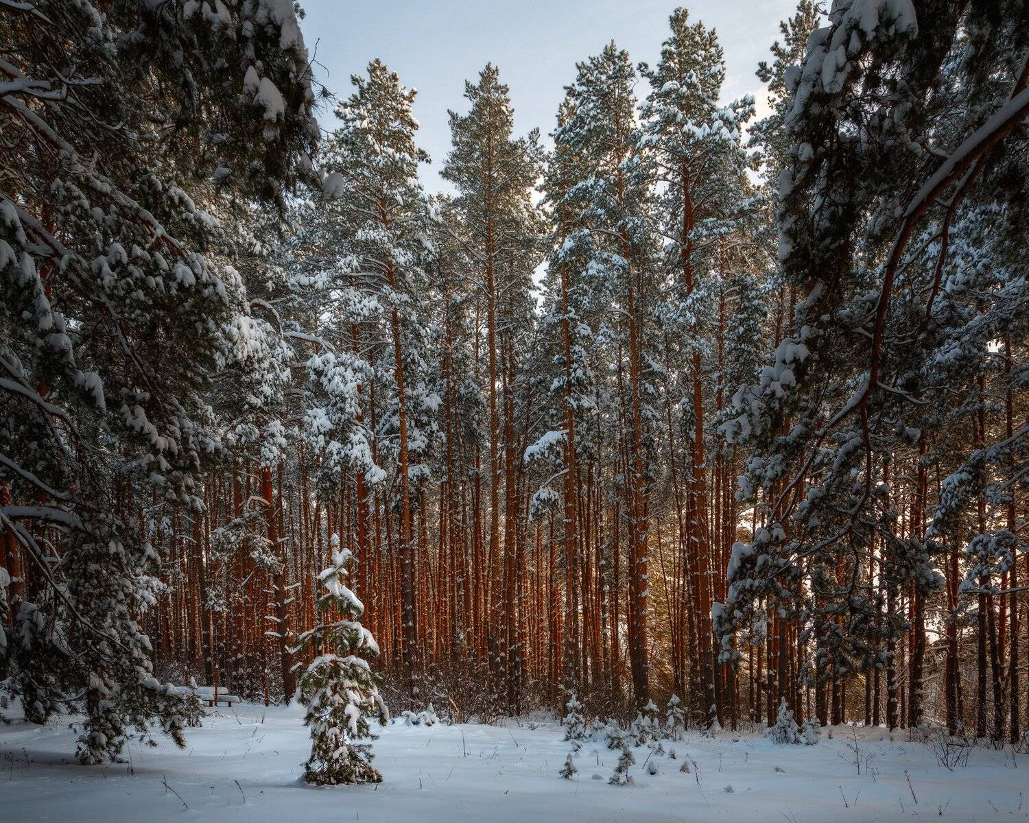 , Сергей Сергеев
