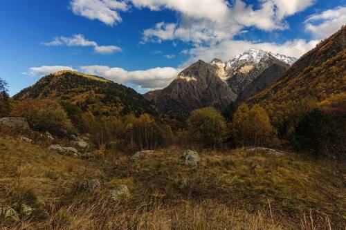 warm autumn...