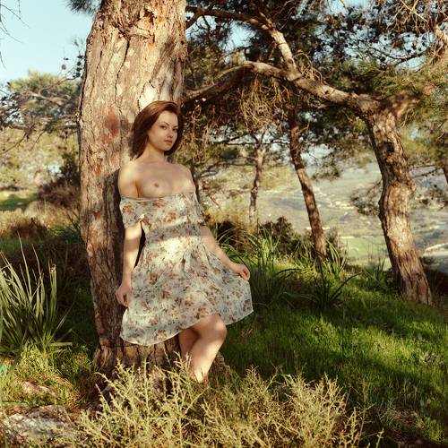 Romantic forest
