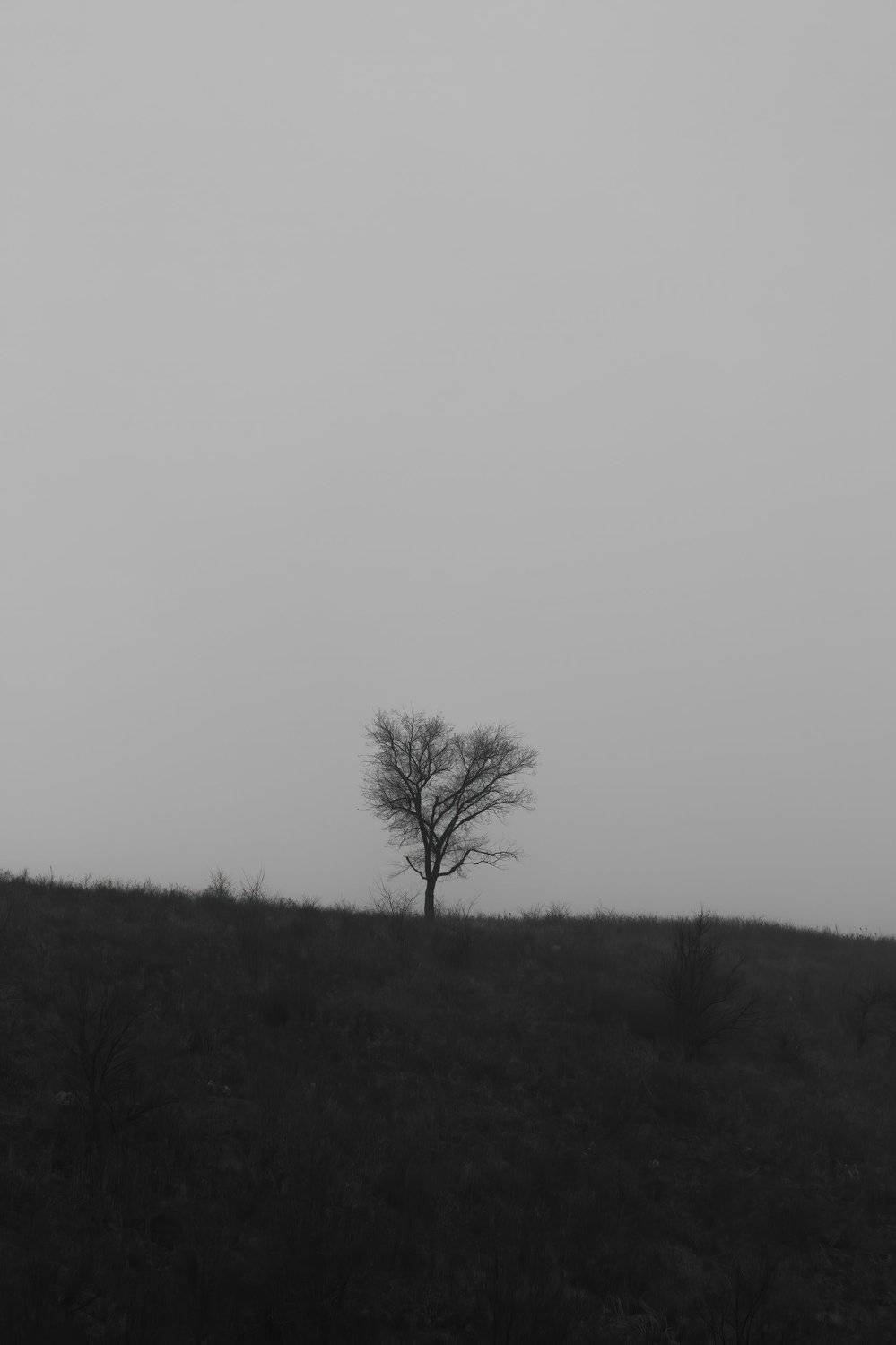 , Ислам Мирсаитов