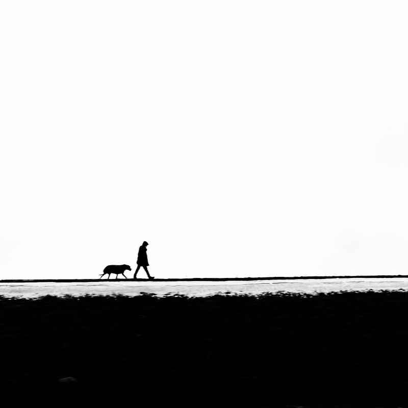 Человек собаке друг... фото превью