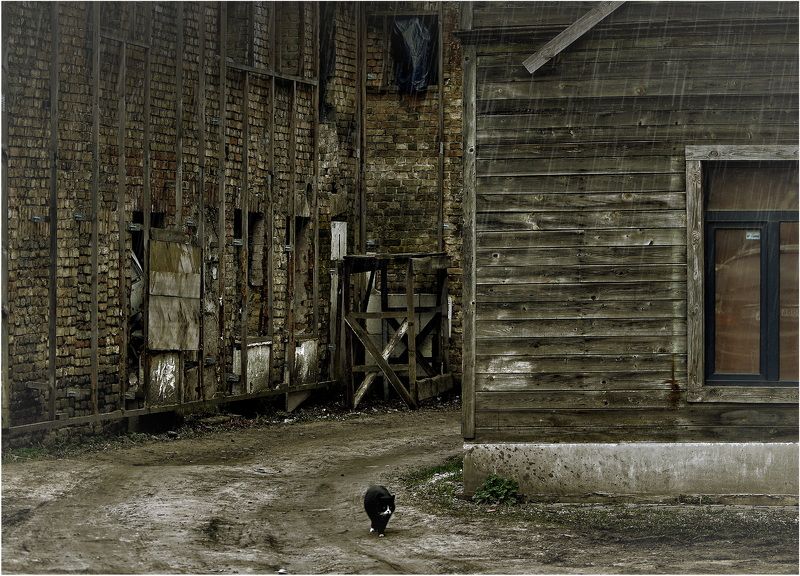 *** фото превью