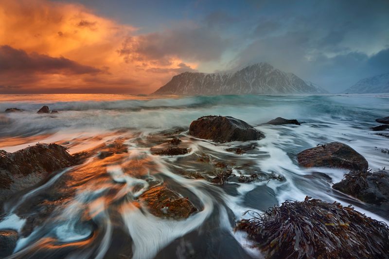 Lofoten. 