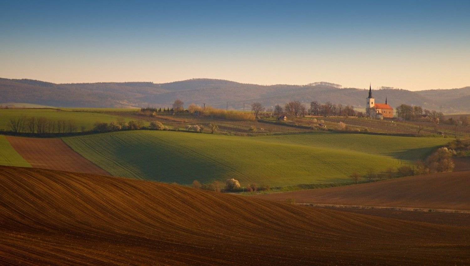 , Franti&scaron;ek Uhler