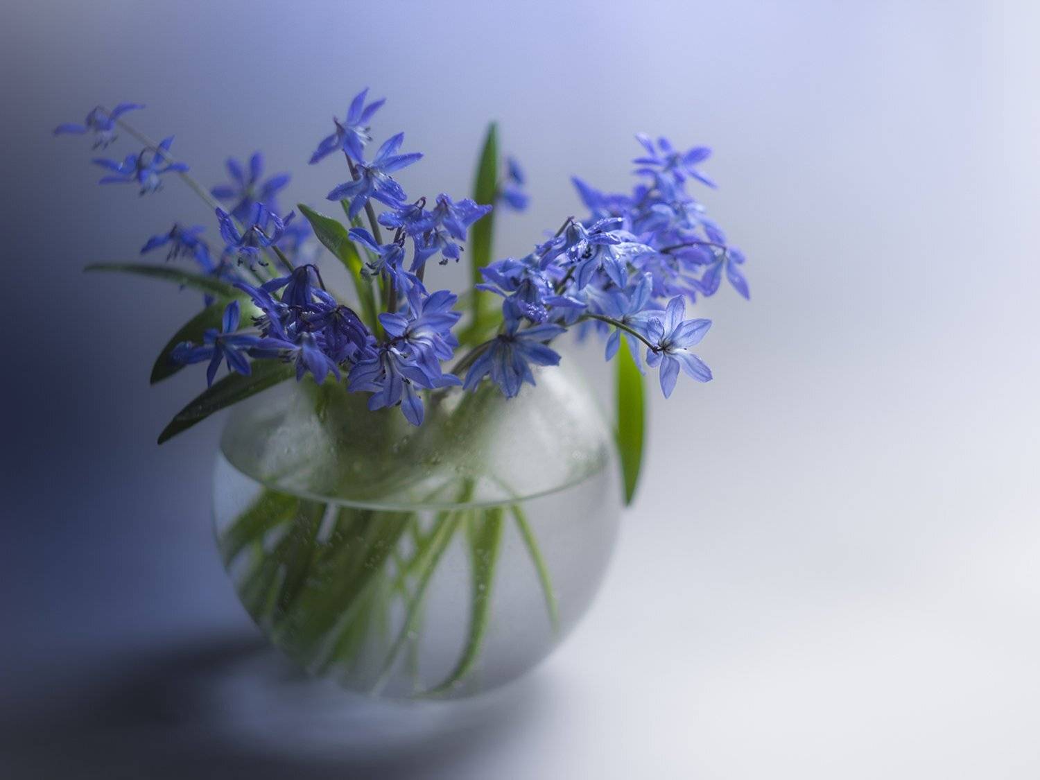 , Елена Рубинская