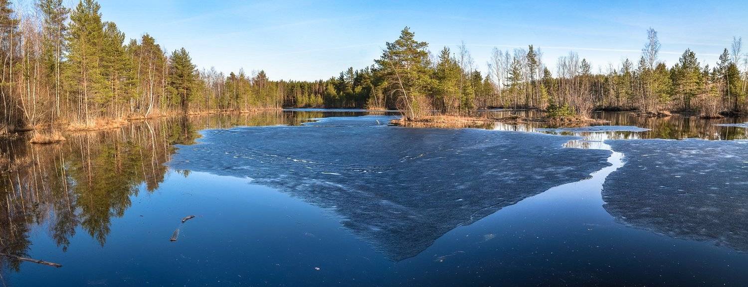 весна, болото, ленобласть, заповедник, красиво, апрель, озеро, экотропа, Валерий Верещако