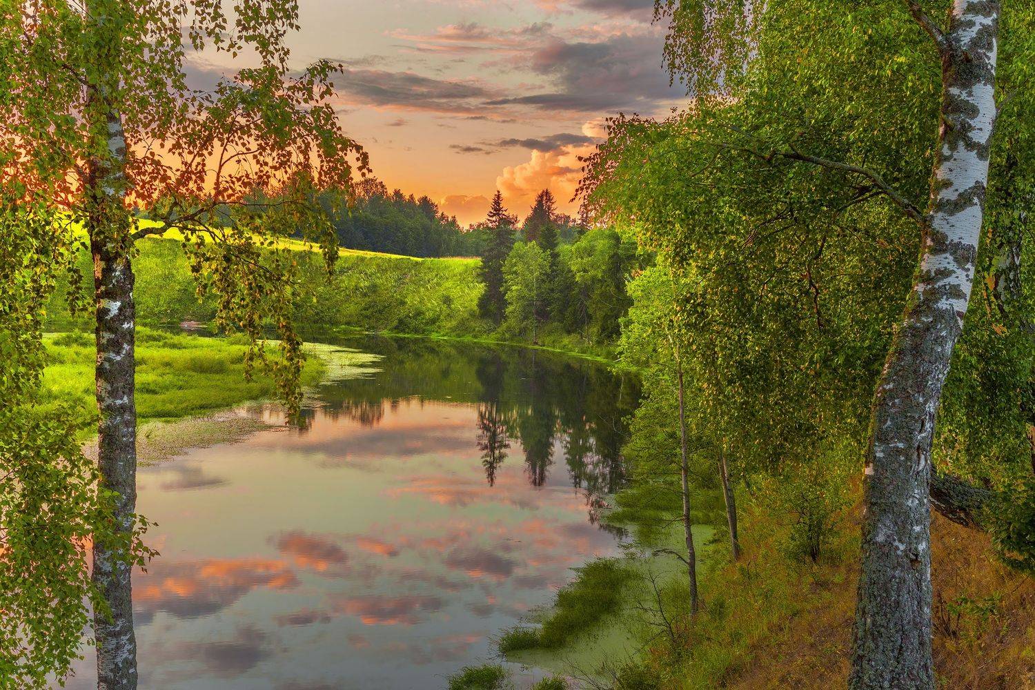 Фототуры с Владимиром Рябковым, ПодмосковьеИюнь чудесное время в Подмосковье. Зеленые луга начинают покрываться цветочными коврами, дни длинные и солнечные. Я люблю ездить на реку Озерну, на один из крутых ее изгибов. Был там множество раз. В пейзажной фо, Владимир Рябков