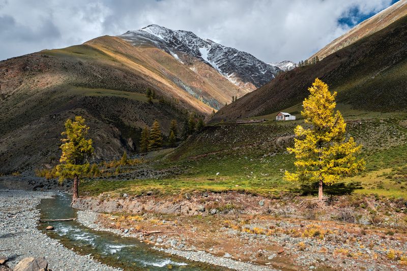 тыва, тува, осень, горы Тувинские мотивы... фото превью