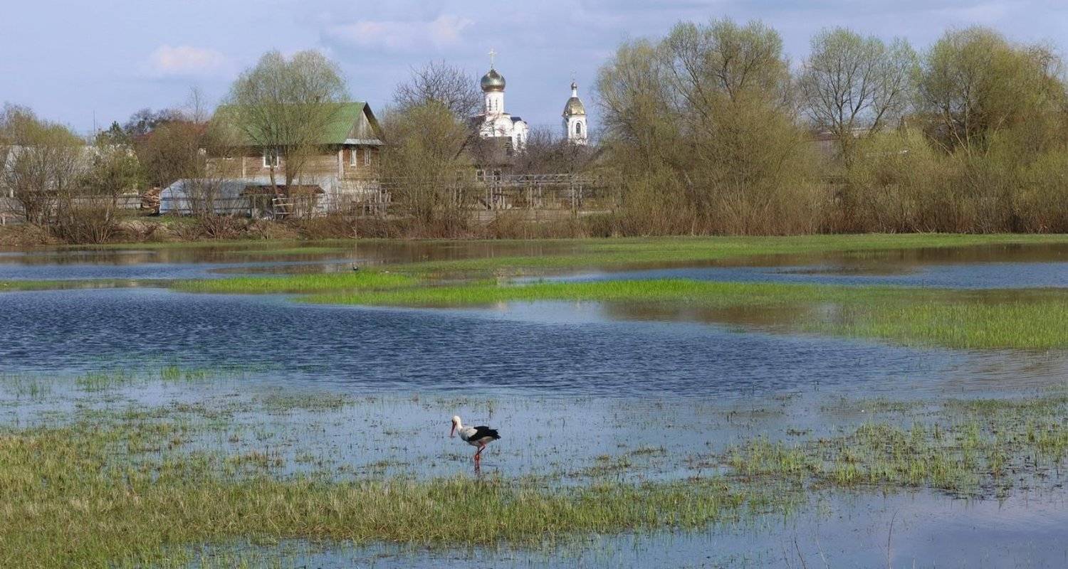 , Валерий Козуб