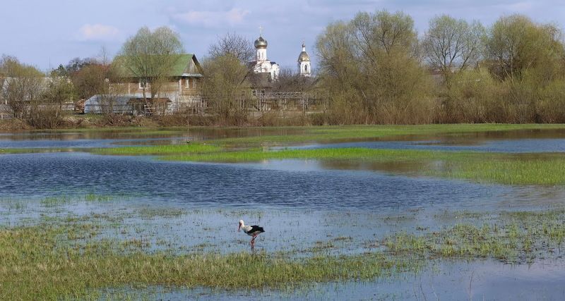 Г. Туров.  Туровский луг, который к лету пересыхает фото превью
