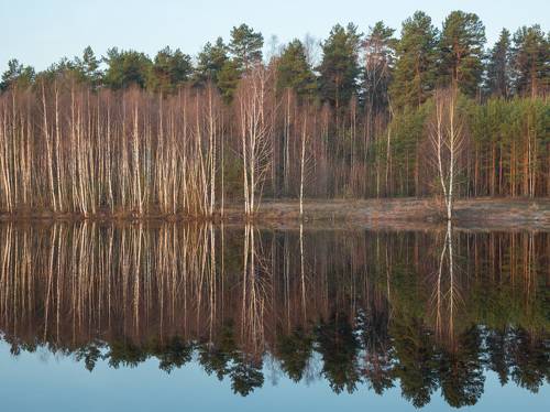 Апрельское зазеркалье