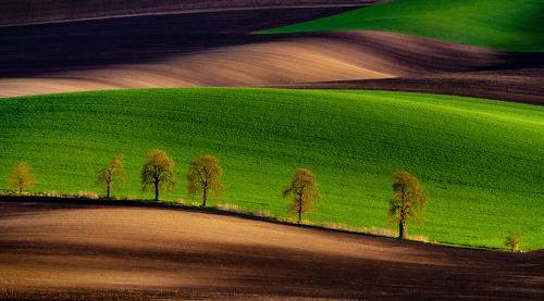 Southern Moravia