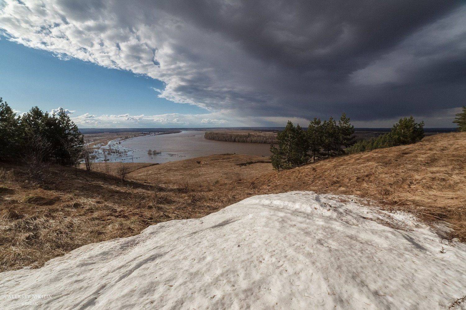 , Алексей Никитин