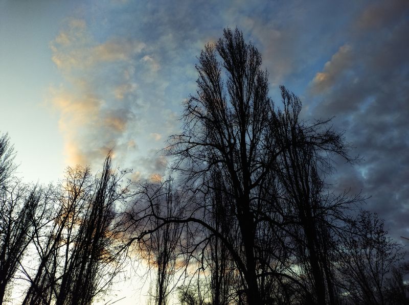 Утро фото превью