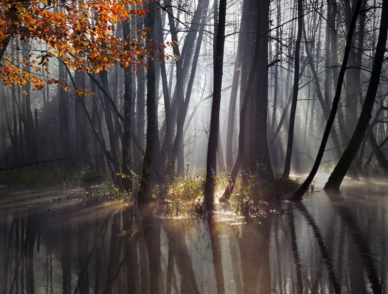 ... фото превью