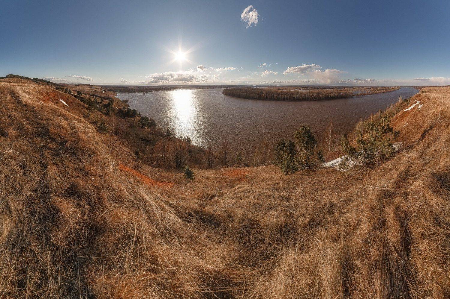 , Алексей Никитин