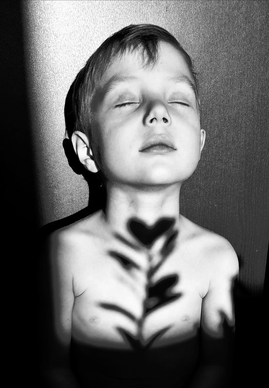 Росток фото превью