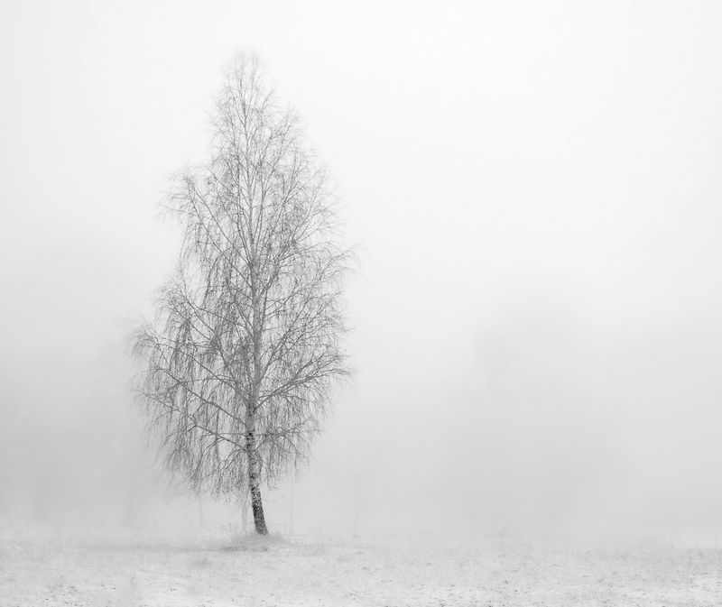 winter landscape... фото превью