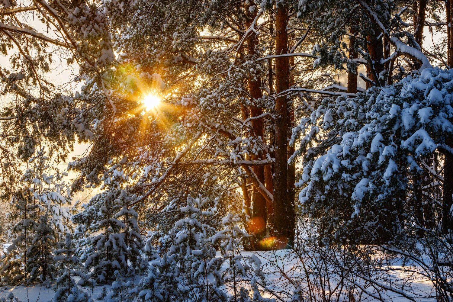 , Сергей Сергеев