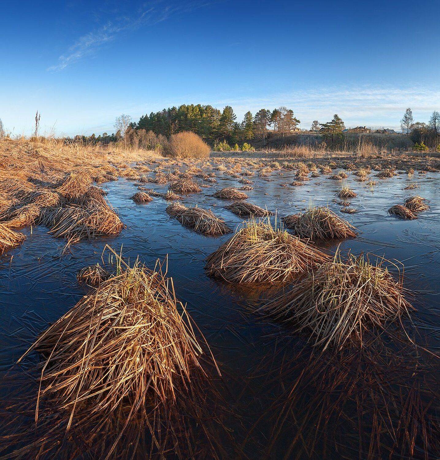 , Николай Андреев