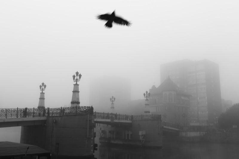 Одним туманным утром фото превью