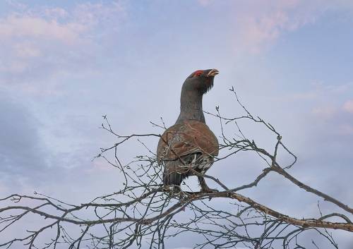На рассвете