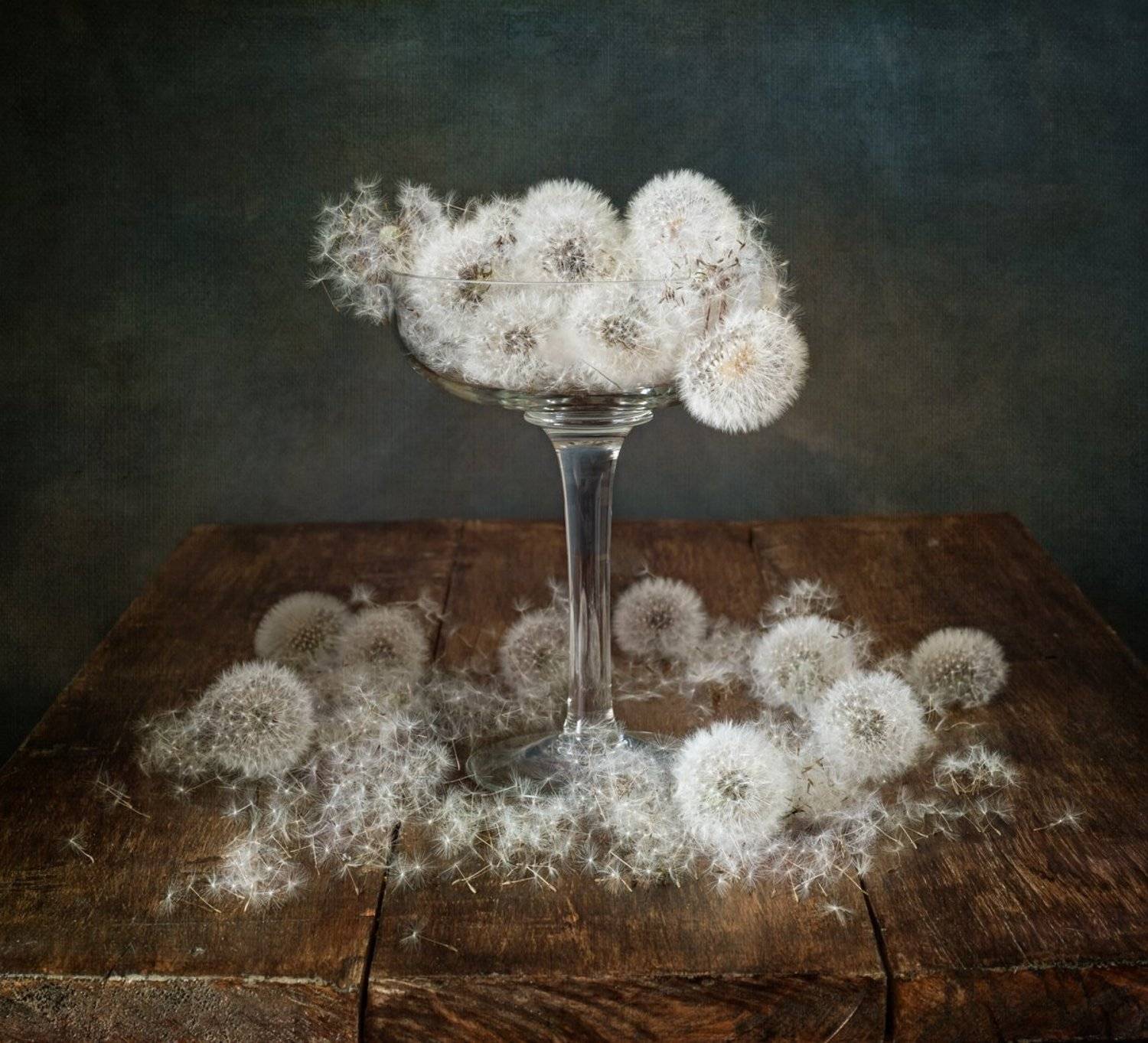 натюрморт, цветы, одуванчики, Оля