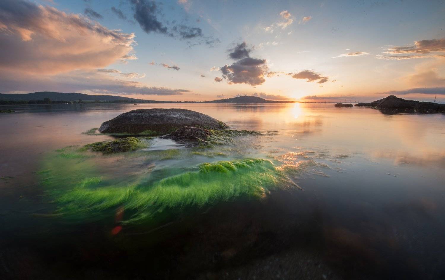 , Атанас Донев