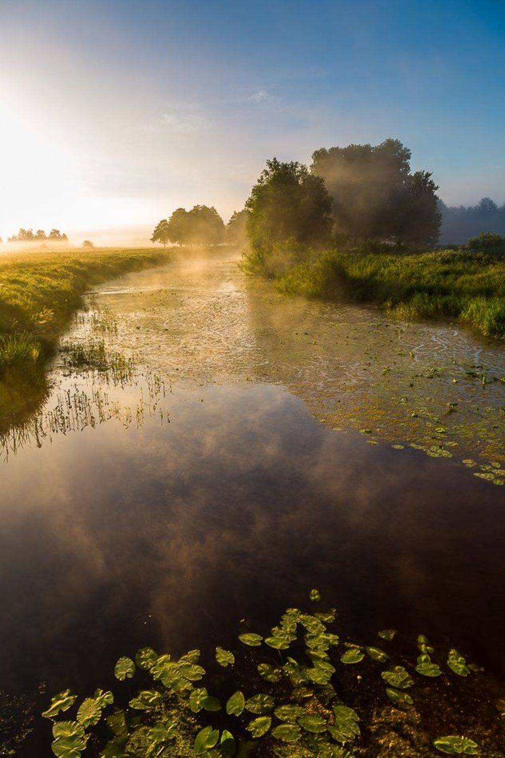 , Александр Подрез