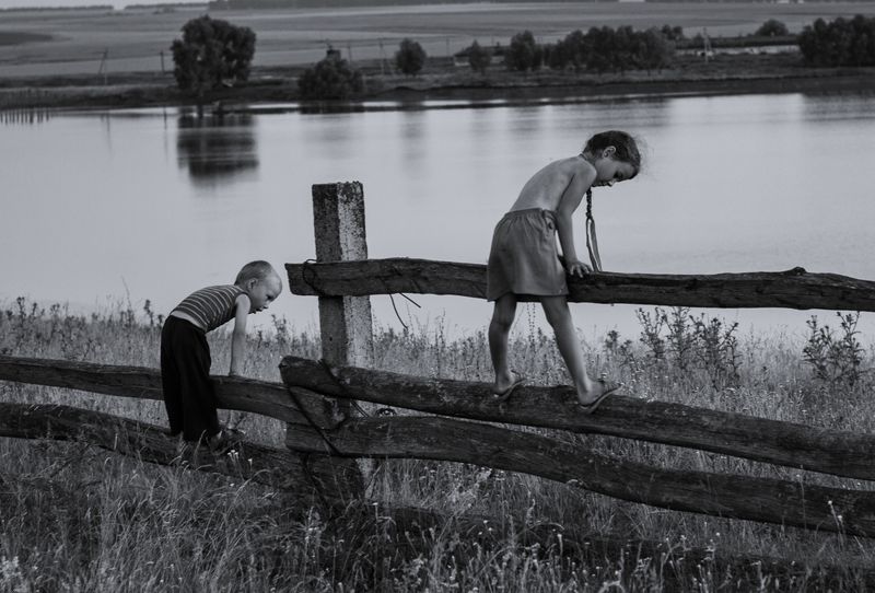 Воробушки фото превью