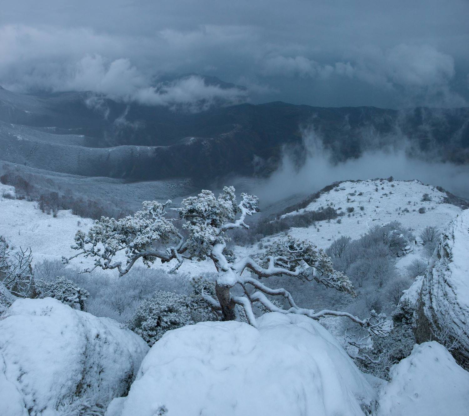 южная демерджи, демерджи, алушта, крым, зима в крыму, долина привидений, сосна, крымский бонсай, Serge Titov