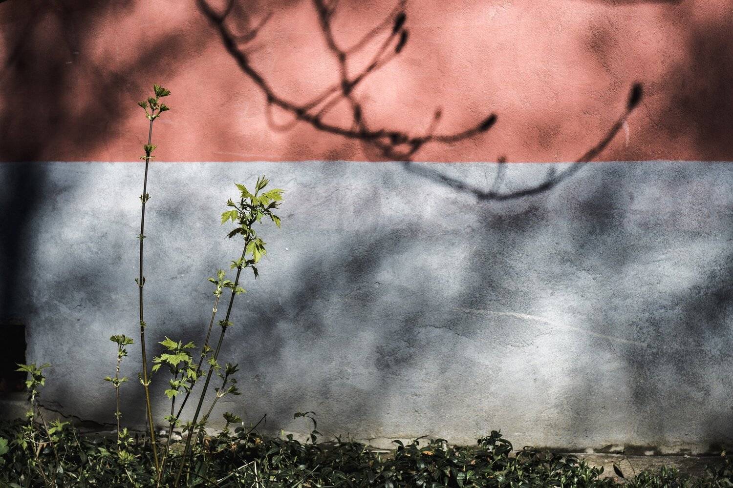 , Юрий Вертиков