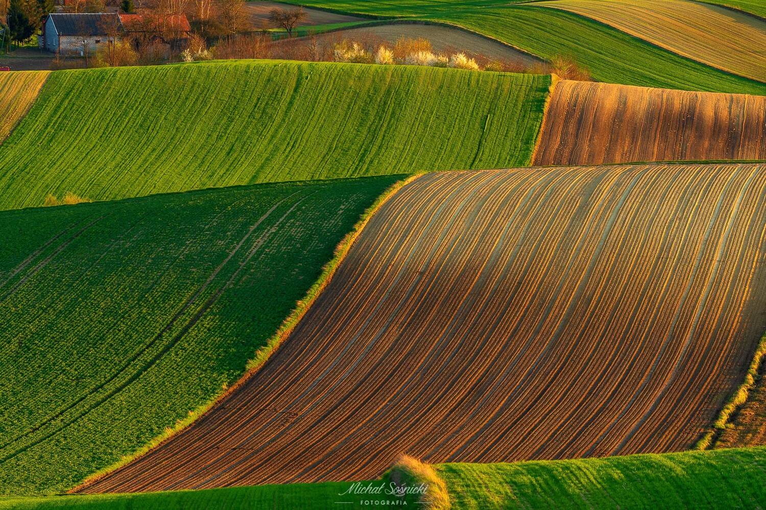 #poland #ponidzie #spring #layers #best #green #amazing #nature #benro #benq #pentax, Michał Sośnicki