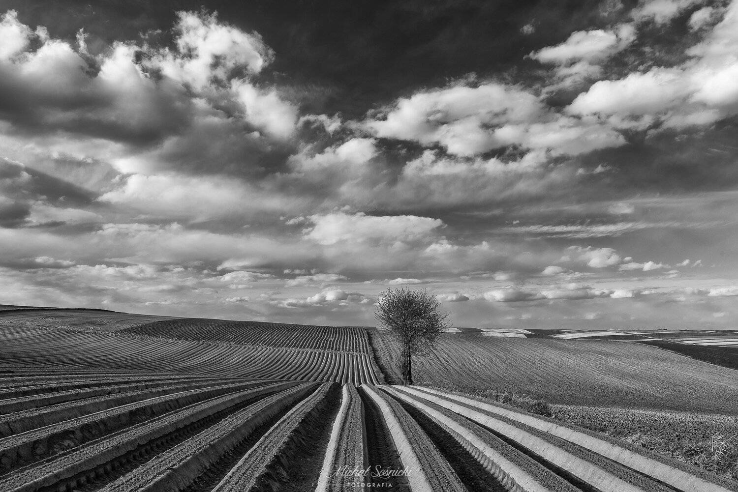 #poland #ponidzie #spring #layers #best #green #amazing #nature #benro #benq #pentax #tree, Michał Sośnicki