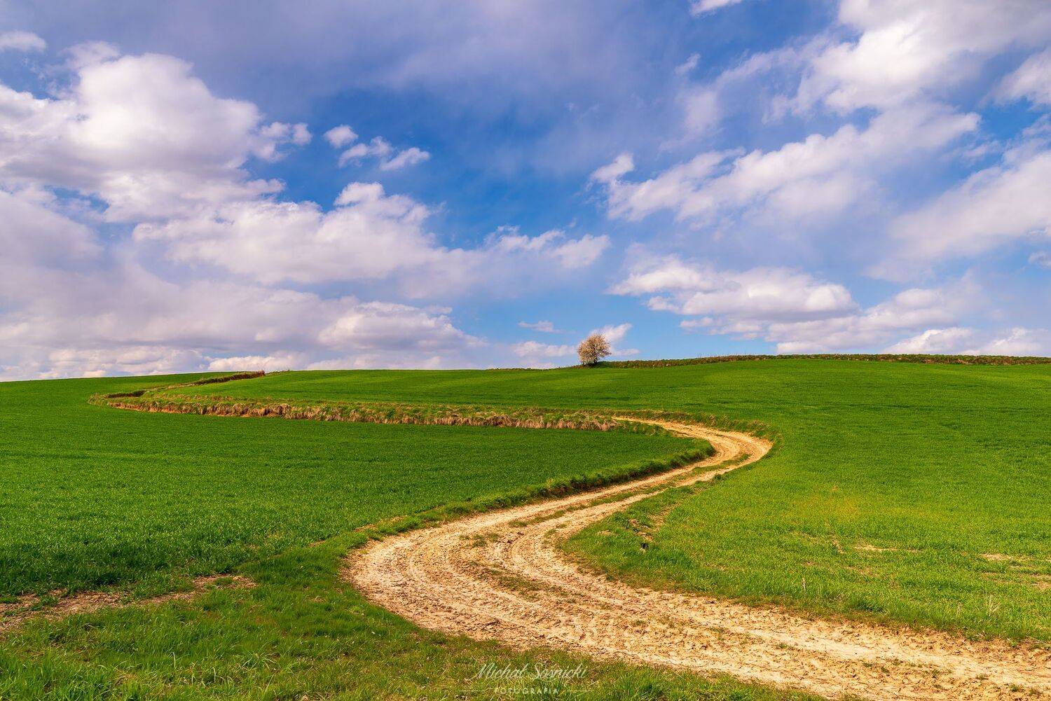 #poland #ponidzie #spring #layers #best #green #amazing #nature #benro #benq #pentax #tree #road, Michał Sośnicki