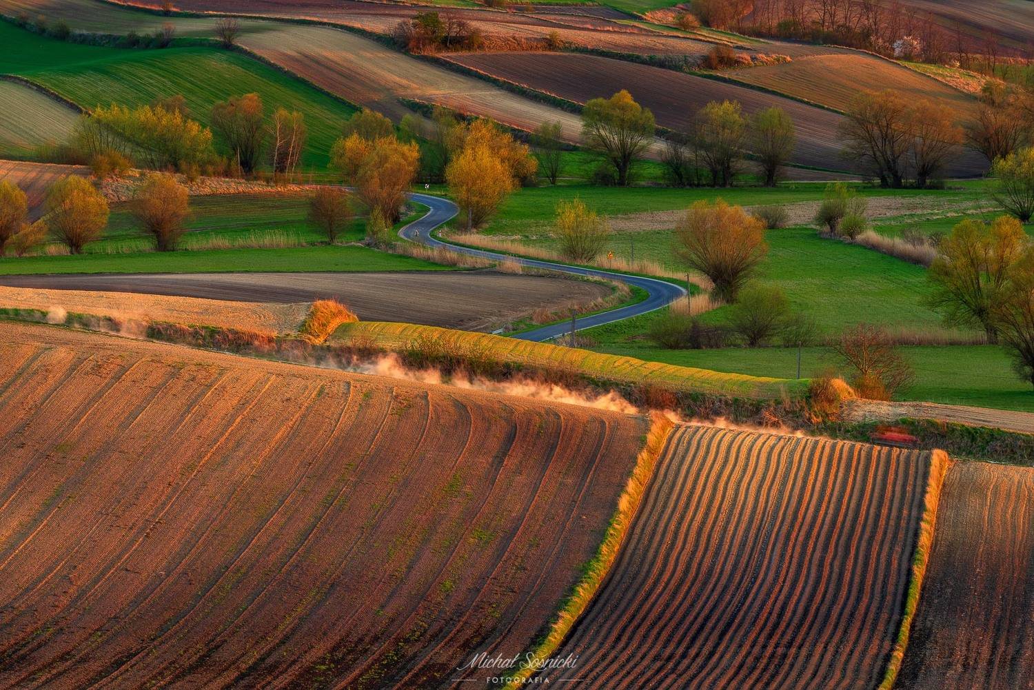 #poland #ponidzie #spring #layers #best #green #amazing #nature #benro #benq #pentax #tree #road, Michał Sośnicki
