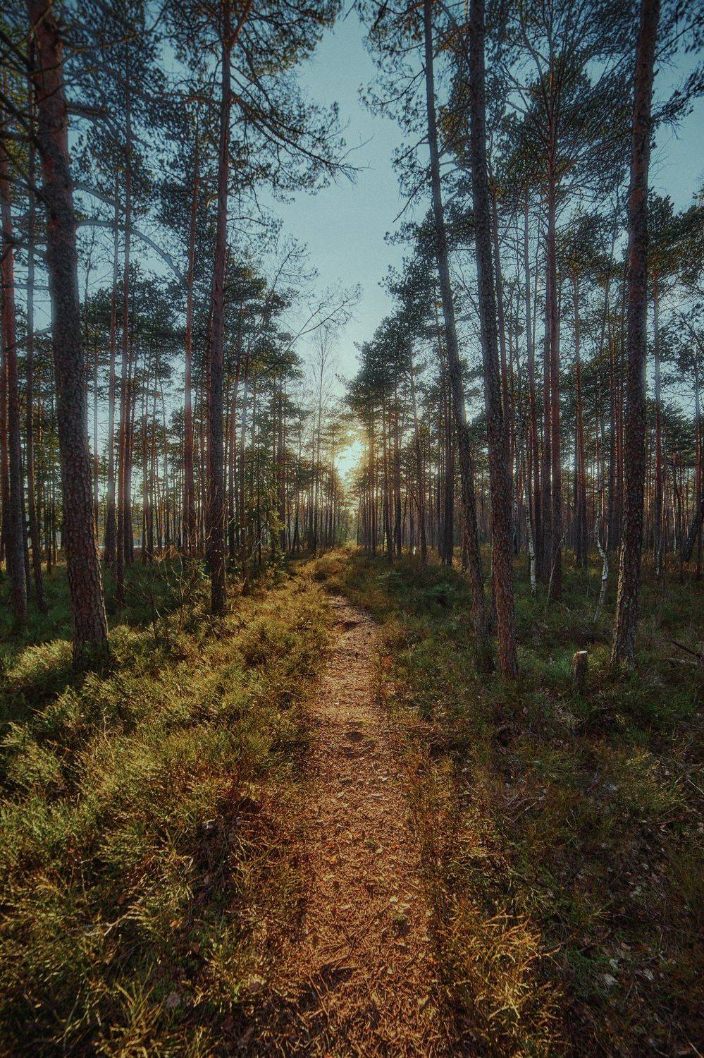 , Александр Фанковин