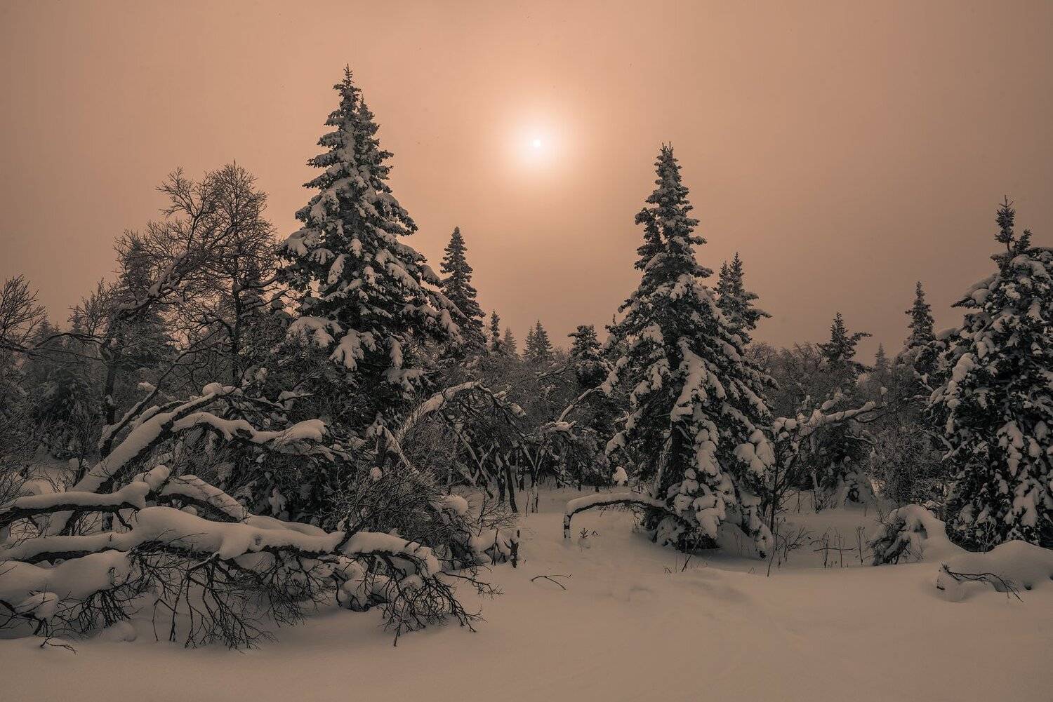 , Кутыгин Эдуард