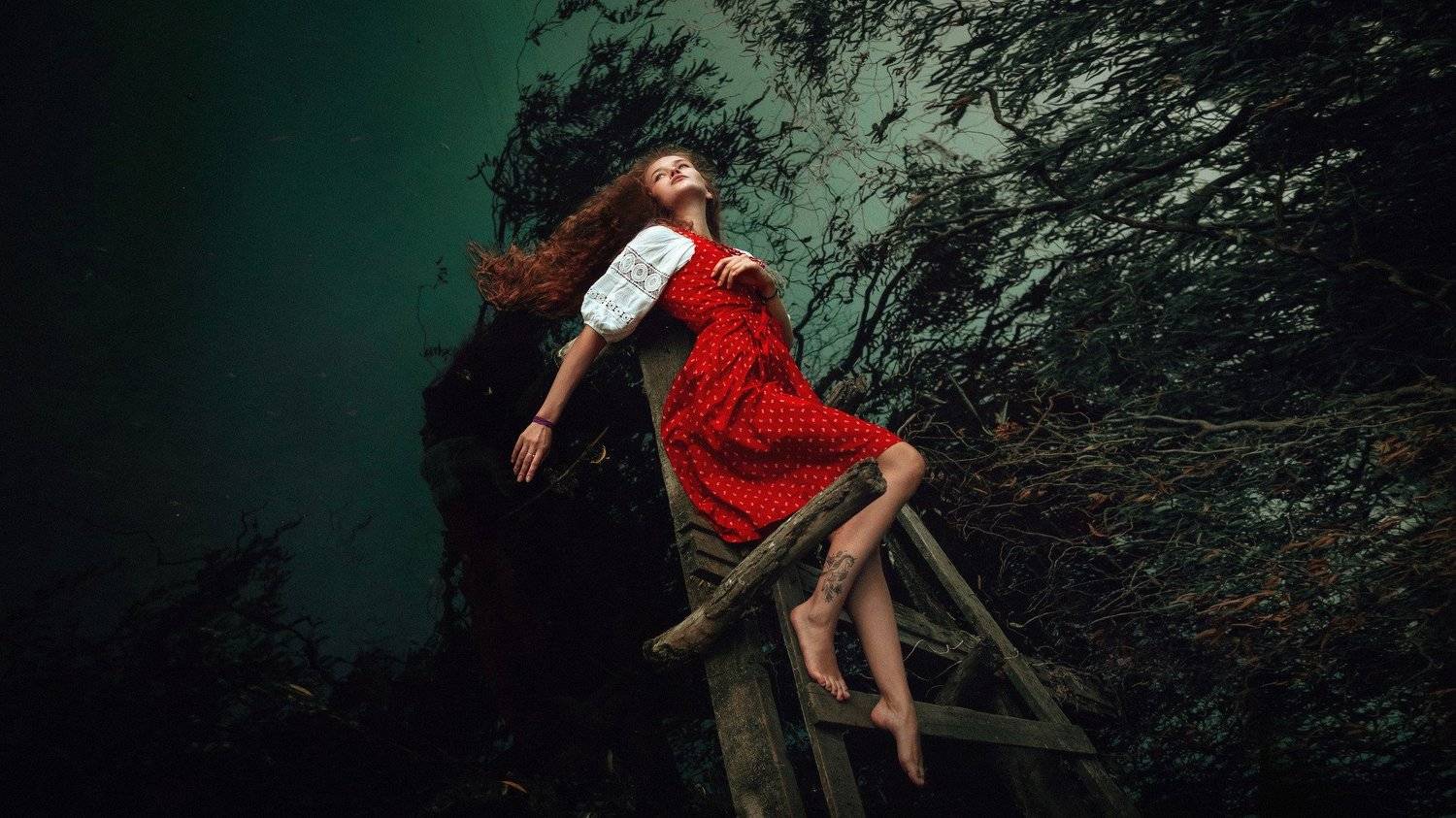 , Данил Прокопенко