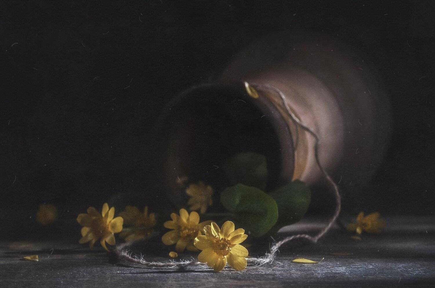 крынка,цветочки,деревенский,старое,тёмный,пыль, Владимир Володин