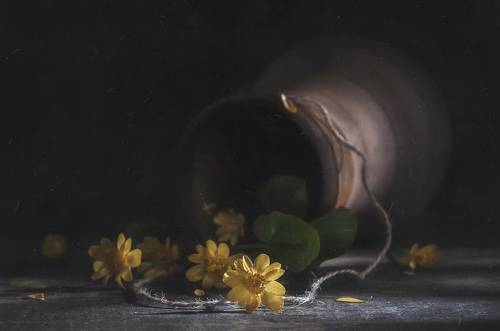 Лежат цветочки на столе...