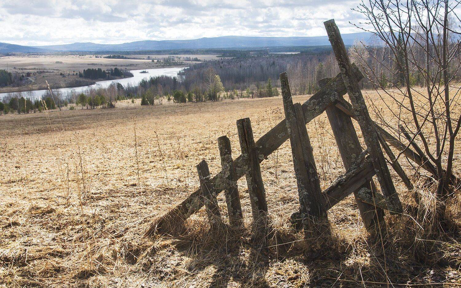 , Александр  Швачко