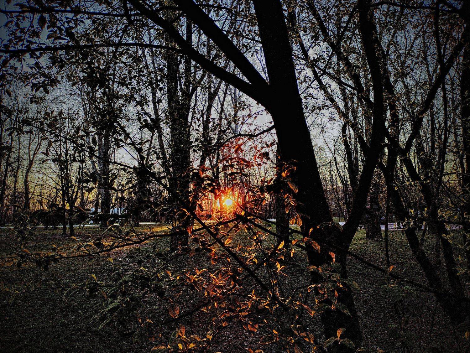 ,  Александр