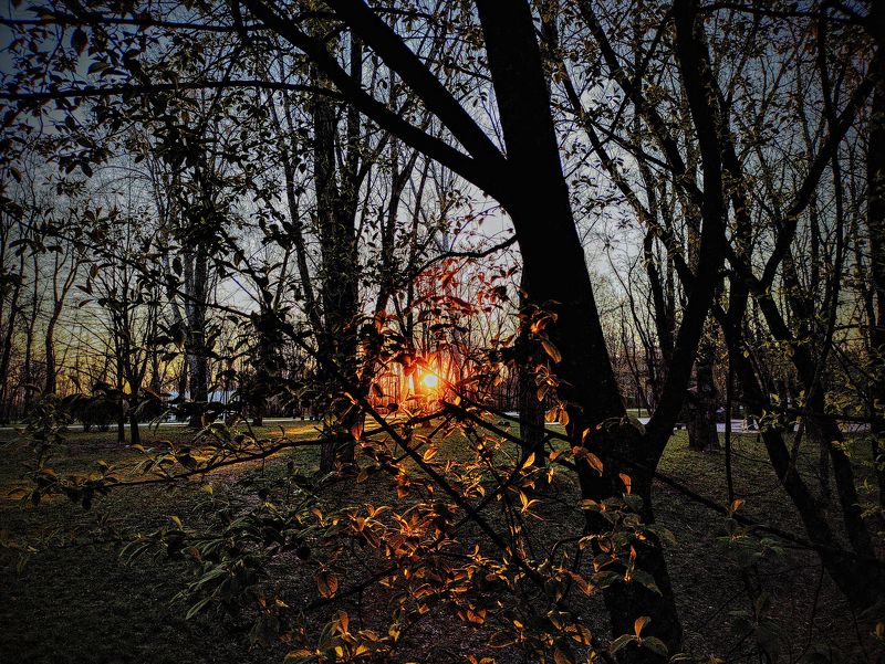 Утро 2 фото превью