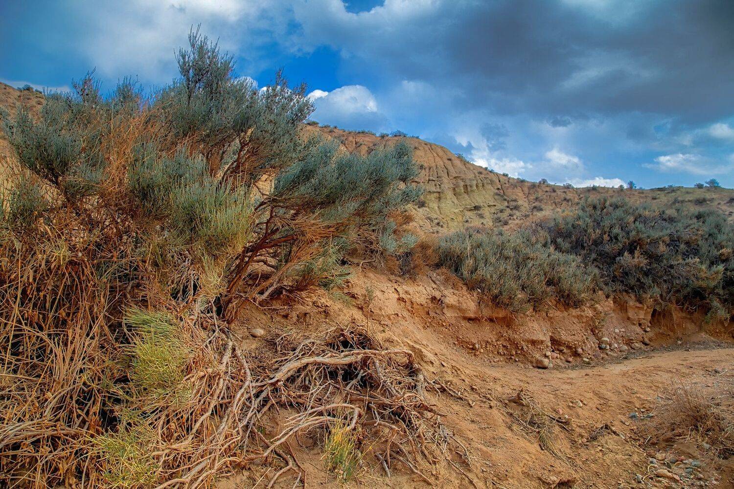 кыргызстан, горы, иссык-куль, Элина Магалимова