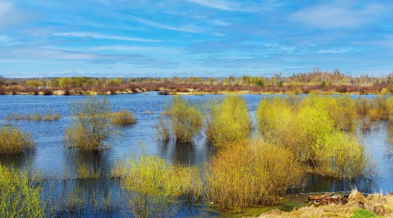 Г. Туров.  Туровский луг, который к лету пересыхает фото превью