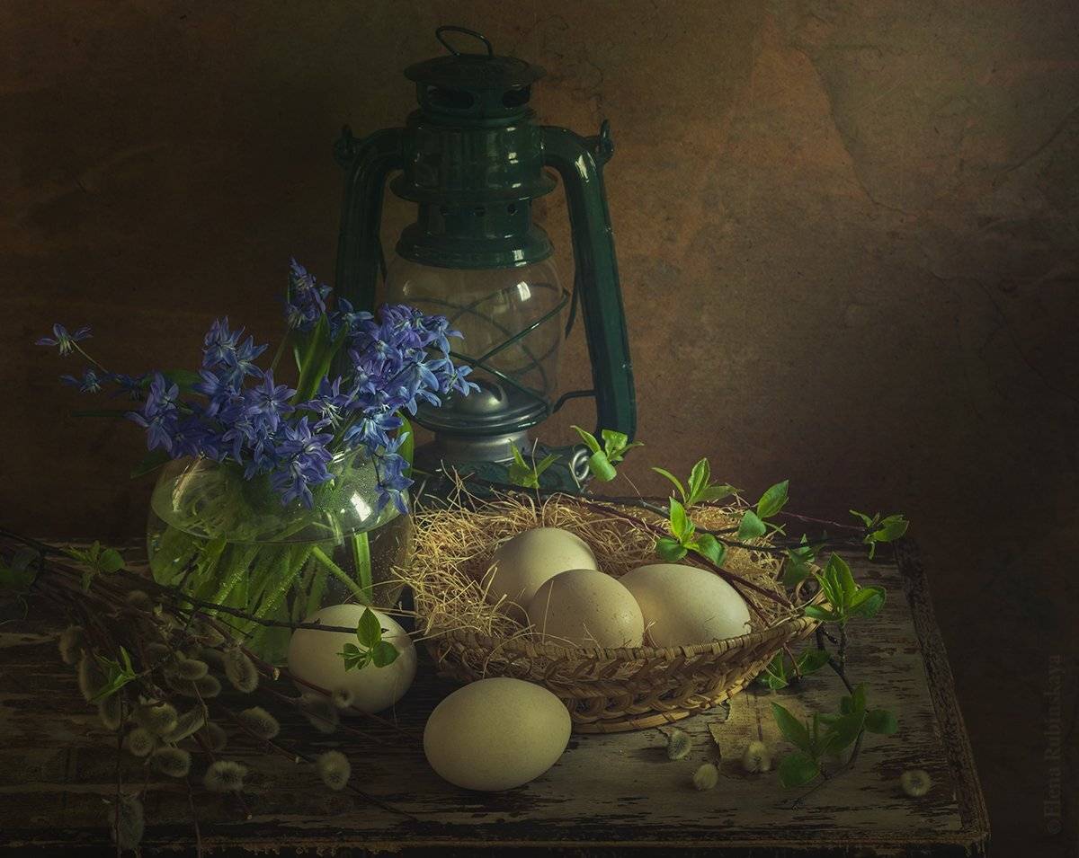 , Елена Рубинская