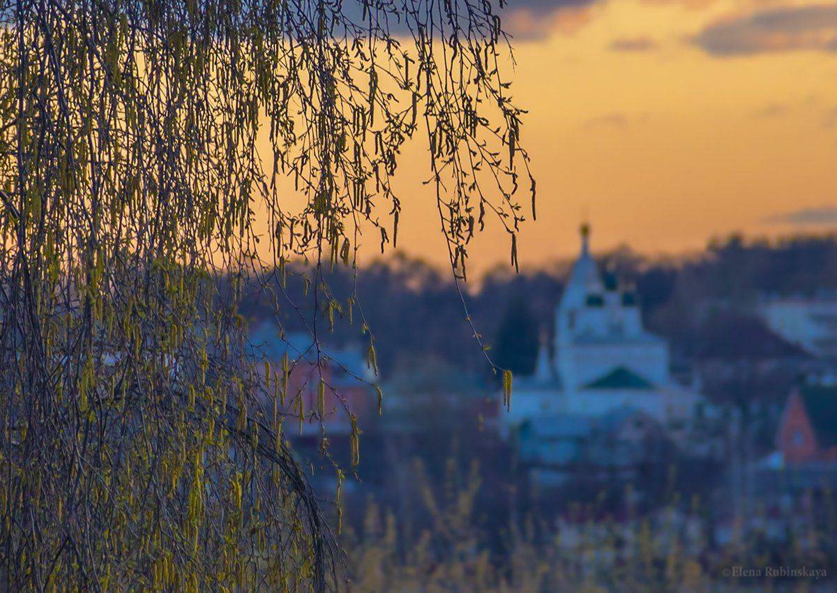 кострома, Елена Рубинская